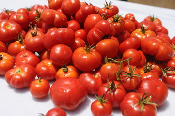Santorini cherry tomatoes