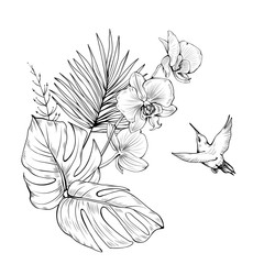 Composition with Orchids, hummingbird and palm leaves. Vector botanical illustration © adelveys