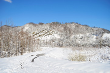 Fototapeta na wymiar forest wild river landscape with snow at spring