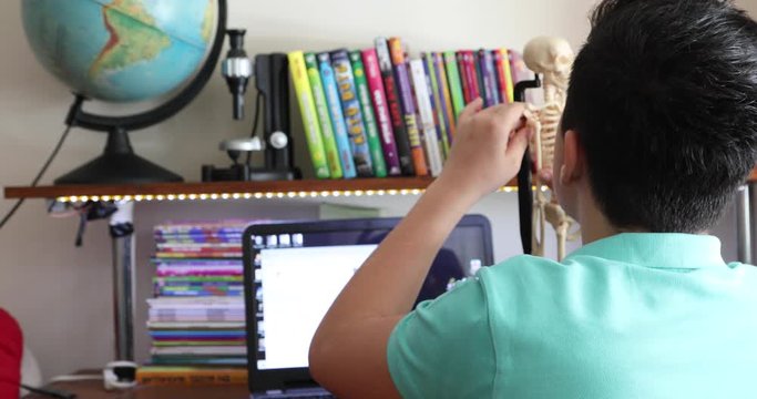 Schoolboy Doing His Homework With Computer Distance Education For Schoolchildren