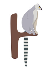 Lemur sitting on tree. Cute animal in cartoon style isolated on white background.