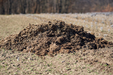 Fertilizer dung on a field