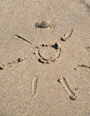 Crab on sand texture.