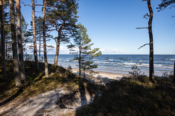 Baltic Sea Gulf