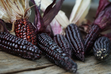 Organic sweet purple corn.
