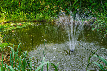 Magical garden pond with cascading fountain and blooming water lilies and lotuses. Aquatic plants grow along the shores of shady pond. Atmosphere of relaxation, tranquility and happiness.