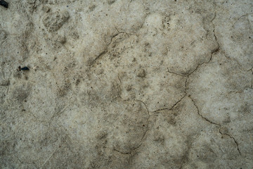 Texture of dried cracked clay. Macro background image of dried clay