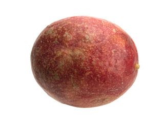 Tropical passion fruit creeper isolated object