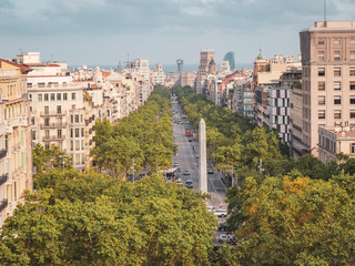 Fototapeta na wymiar Paseo de Gracia in Barcelona, Cataluña, España