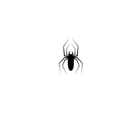 Spider Logo Template vector symbol