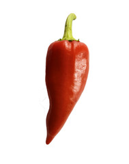 Red chili pepper vegetable isolated on white background