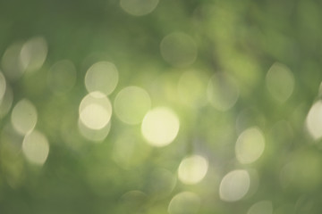 Bokeh green nature, Subtle background in abstract style for graphic design