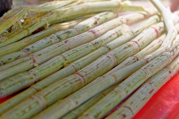 Raw sugar cane cuts