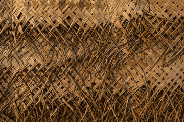 palm tree roof texture