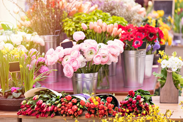 Fototapeta na wymiar Colorful showcase in a florist store. Flowers in big vases. Bouquet of the Flower of Ranculus (pion rose) pink color, red anemones and tulips. Flower business