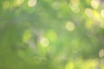 Obraz premium Bokeh green nature, Subtle background in abstract style for graphic design