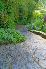 Park path in summer - Vinales - Cuba