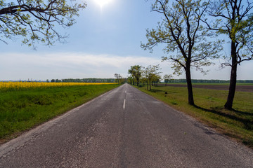 Fototapeta na wymiar Open road in the Great Hungarian Plain