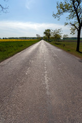 Open road in the Great Hungarian Plain