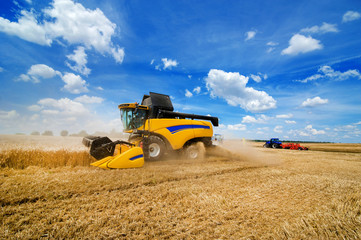 close view of modern yellow combine harvester in action on wheat field with beautiful sky