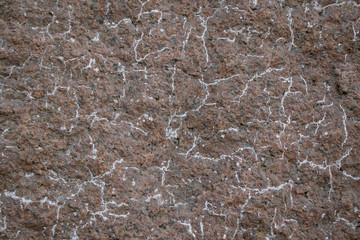 Obraz premium Granite stone with white veins for the background. Color Tundora, hue Gray.
