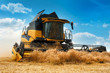 closeup view of yellow modern combine harvester for grain harvesting in work