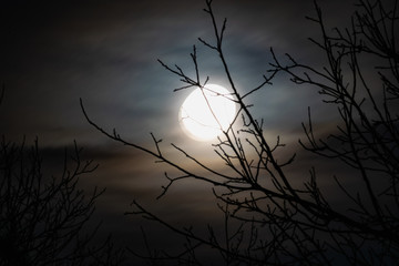 Night big moon in the twilight sky with beautiful lighting. The celestial luminary lights up the...