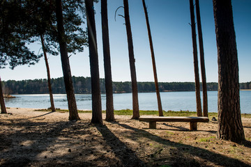ławka nad jeziorem w lesie