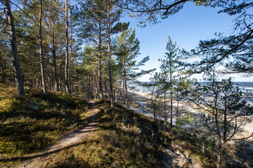 Baltic Sea Dunes