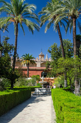 Fototapeta premium alcazar