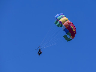 skydiver parachutist landing