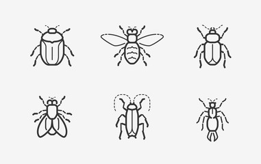 Insects icon set in linear style. Vector illustration