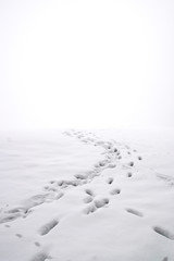 Footprints In The Snow Minimalist Photo Going Up Hill