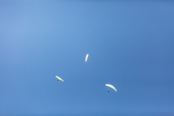Skydivers with a colorful canopies of a parachutes on the background a blue sky