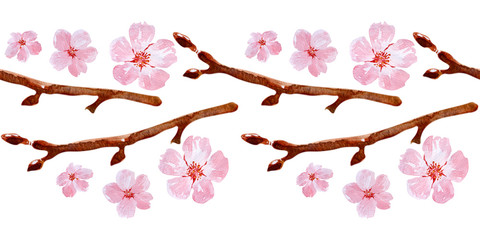 Watercolor seamless border drawing with branches and cherry blossoms