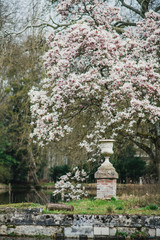 Domaine des r&eacute;aux, friches