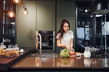 Young beautiful brunette in casual clothes preparing healthy food in kitchen at daytime