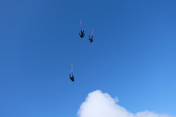 A group of skydivers is flying in the sky like birds.