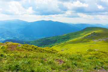 Fototapeta premium path through mountain range. beautiful alpine meadows of carpathian landscape on a cloudy day in summer. dividing watershed ridge
