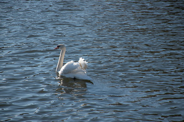 Gdansk on quarantine