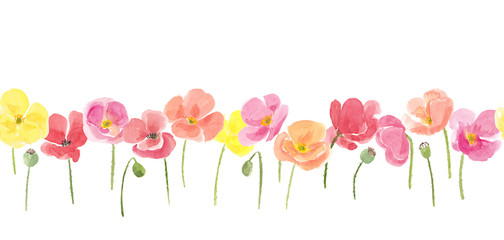 Watercolor hand drawn wild meadow colorful poppies flowers composition. Summer floral seamless border isolated on white background.