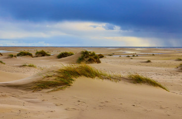 In the Dunes at the Beach of Amrum, Germany, Europe