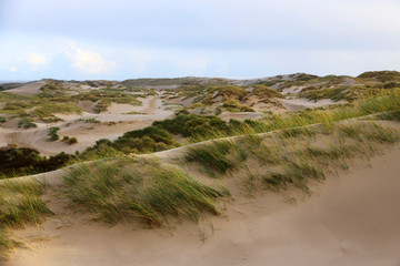 Dunes at the Beach of Amrum, Germany, Europe