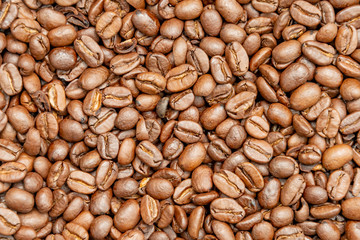 Coffee beans roasted dark brown seeds texture or background