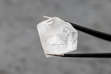 Raw diamond big dob held by tweezers in front of grey surface