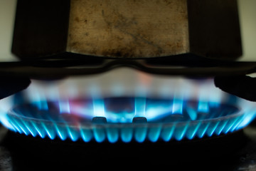 Gas Flame from the gas stove.