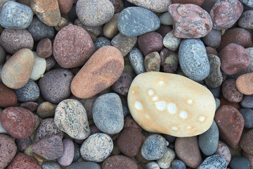 Light pebble on a background of dark pebble. Yin and yang