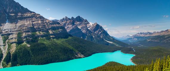 Fototapeta na wymiar Peyto lake in Banff National Park, Alberta, Canada.