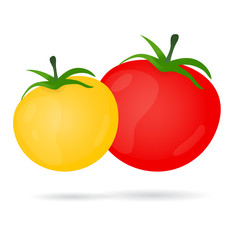 Ripe red and yellow tomatoes isolated on white background. Juicy ripe tomato. Vector Illustration.