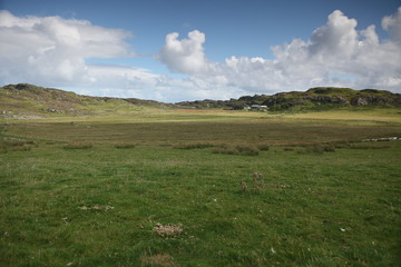 Colonsay
